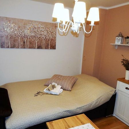 Studio Apartman Tvrtko 바라즈딘 외부 사진