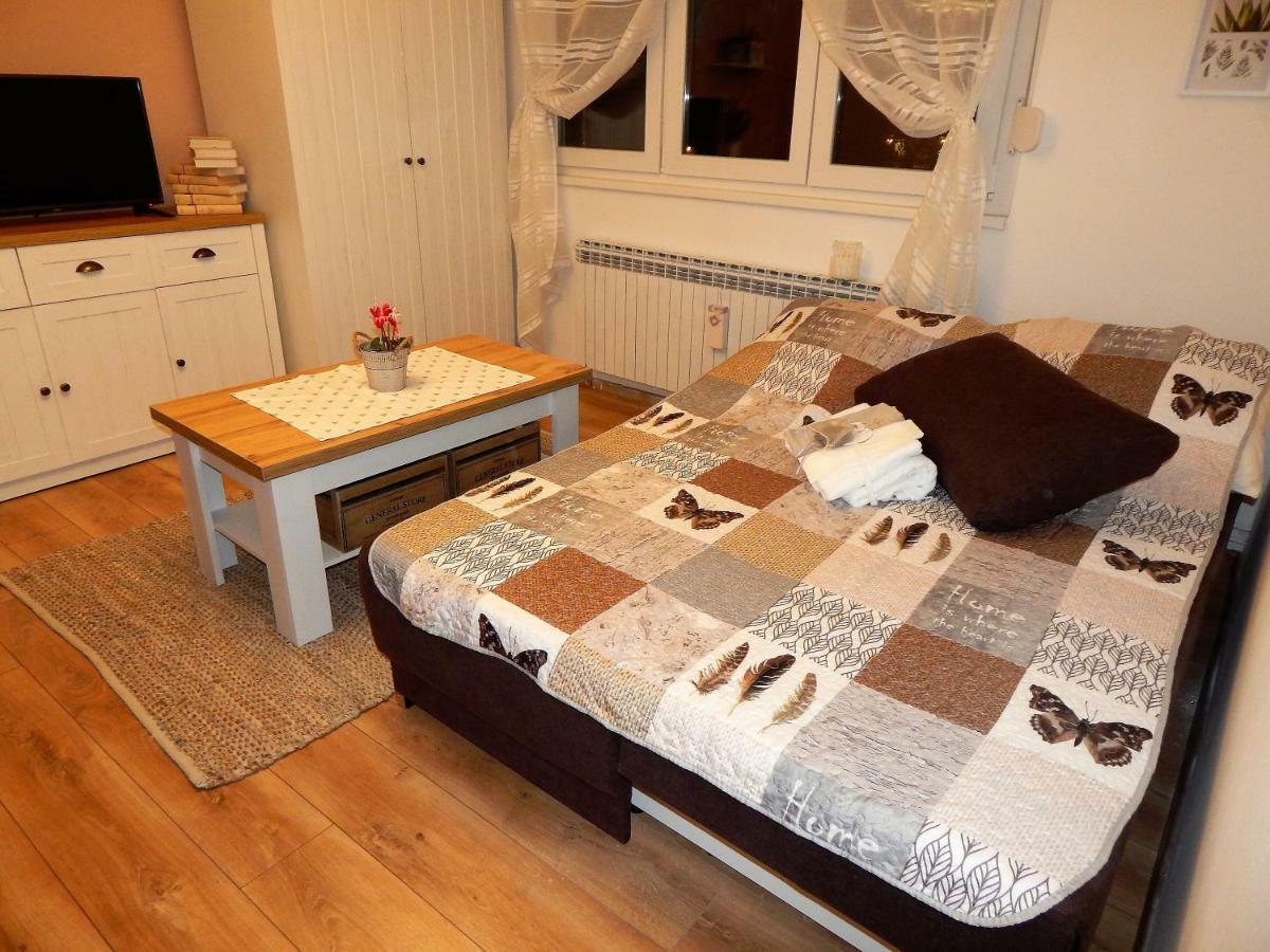 Studio Apartman Tvrtko 바라즈딘 외부 사진